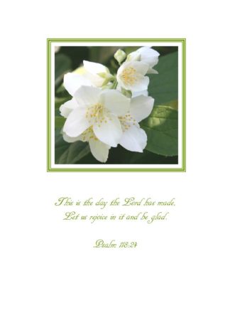 Mock Orange Birthday Card