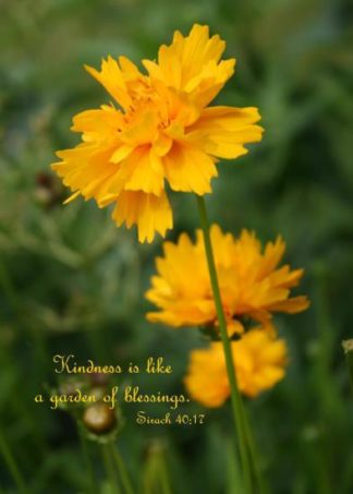 Coreopsis Thank You Card